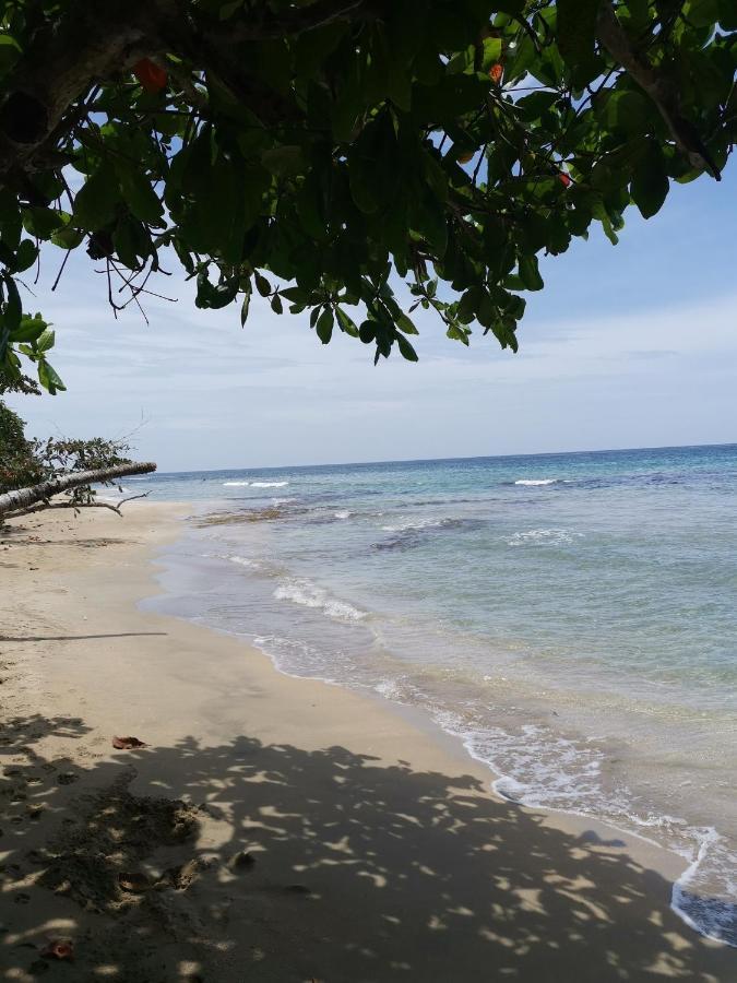 Hostal Cecilia Puerto Viejo de Talamanca Экстерьер фото
