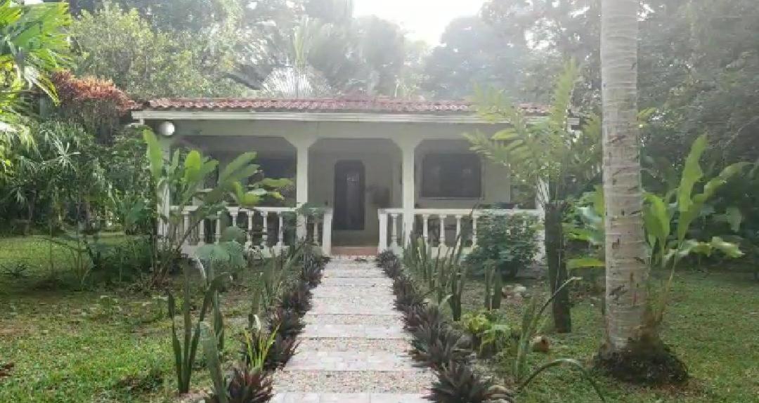 Hostal Cecilia Puerto Viejo de Talamanca Экстерьер фото