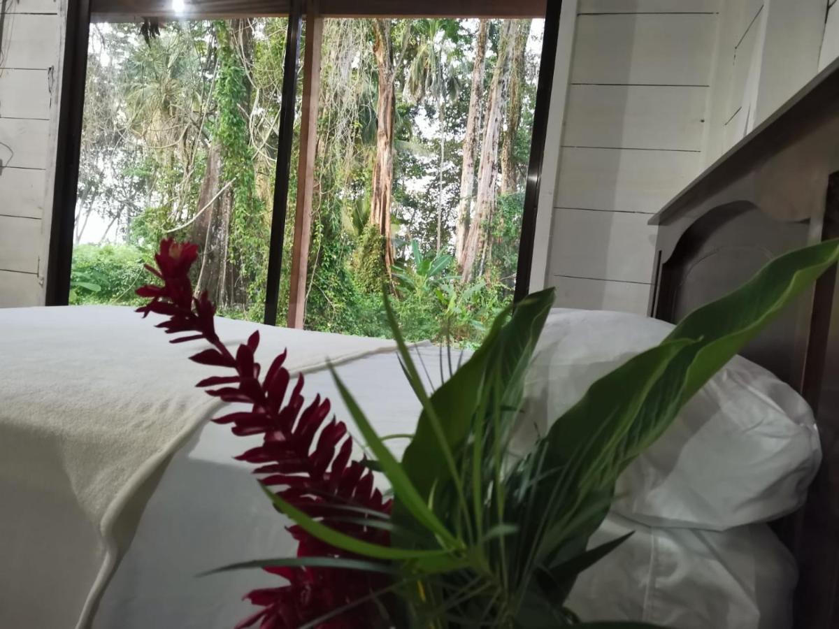 Hostal Cecilia Puerto Viejo de Talamanca Экстерьер фото