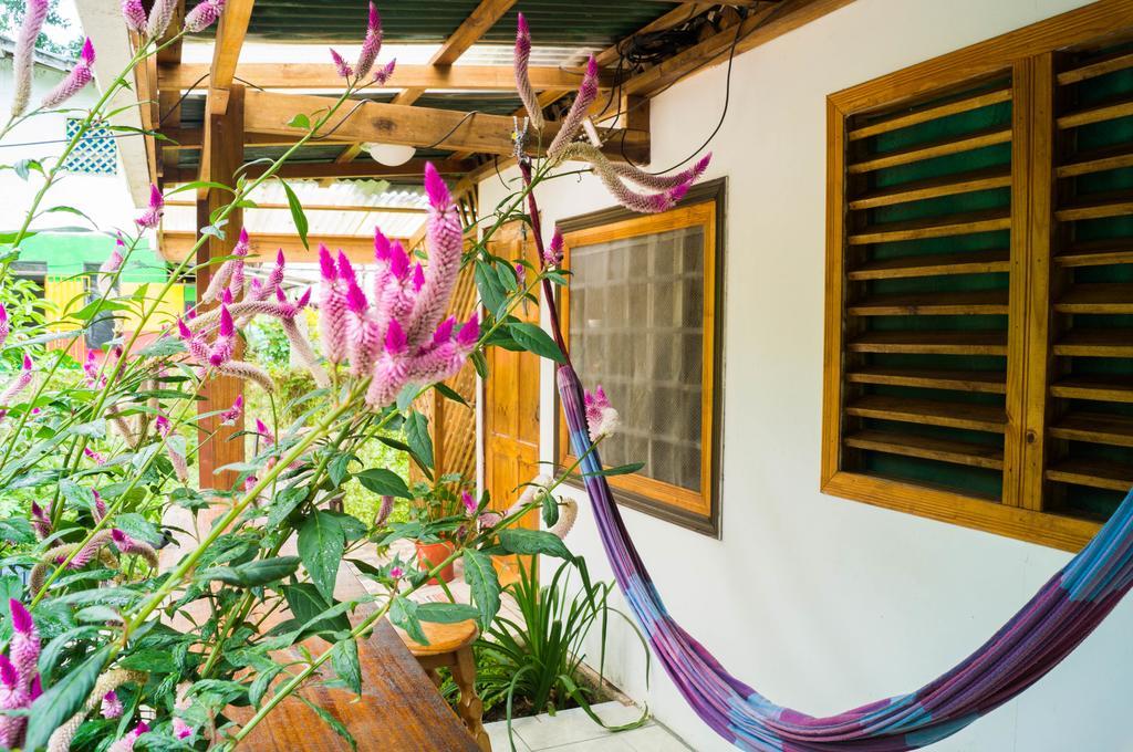 Hostal Cecilia Puerto Viejo de Talamanca Экстерьер фото