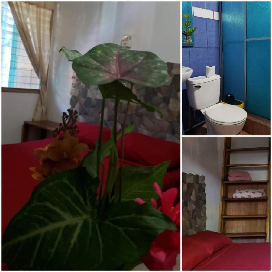 Hostal Cecilia Puerto Viejo de Talamanca Экстерьер фото